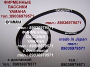 Фирменный пассик для Yamaha PF-800 ремень пасик на Yamaha PF 800 пассик для Ямаха PF800 для вертушки Москва объявление с фото