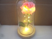 Роза с подсветкой в колбе Липецк объявление с фото