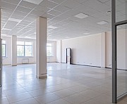 Аренда помещения 140м2 под различные виды бизнеса. Санкт-Петербург