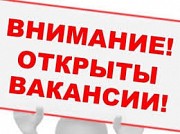 Работа на дому, еженедельные выплаты Ульяновск объявление с фото