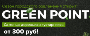 Крупномеры и саженцы для дома и дачи из питомника растений Москва объявление с фото