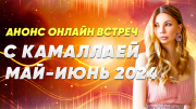 Сила принятия- он-лайн встреча с Камалая Хефорс Владивосток объявление с фото