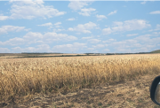 Продажа земельного участка сельхозназначения Ставрополь объявление с фото